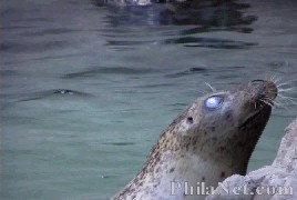 Philanet.com Seal